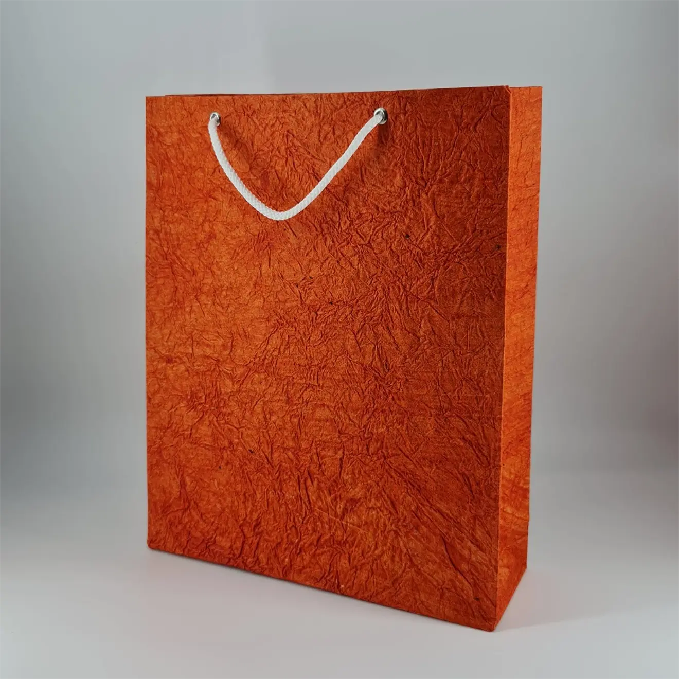 Paper Bag